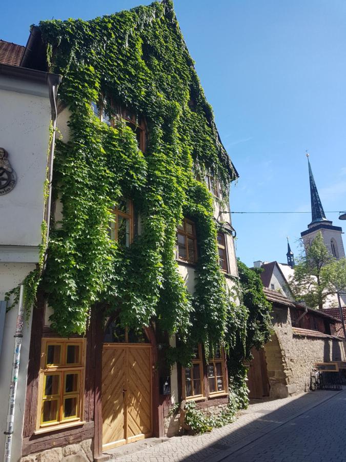 Am Erfurter Dom Erfurt